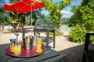 B&B / Chambres d'hotes Sarl Chateau Arago : photos des chambres