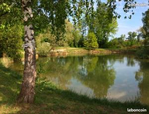 La pépite Rose dEuropapark