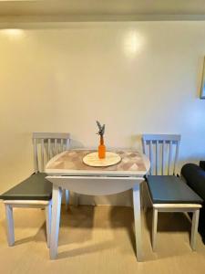 * *T Panoramic Metro View