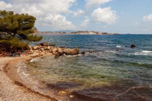 Appartements T2 Centre Ville Renove Climatise : photos des chambres