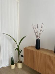 Cabine Congé nieuw appartement dichtbij zee