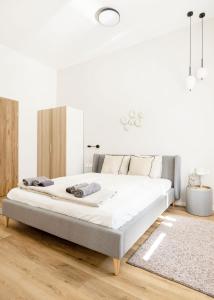 Natural Harmony Apartment