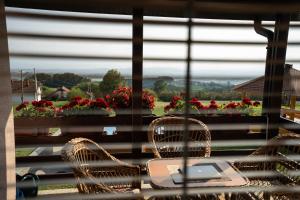 Zlatni Prag - Kraljevo