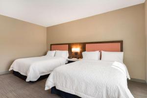 Queen Room with Two Queen Beds - Mobility and Hearing Access/Non-Smoking room in Hampton Inn Batesville Ar