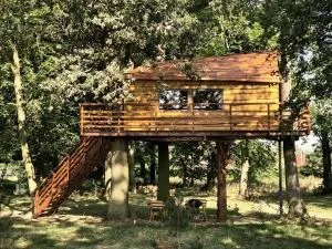 Tree Vill - Machnice