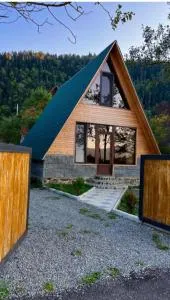 Borjomi-sadgeri''Twins'' - Tsemi