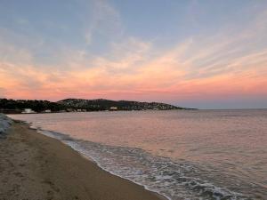 Appartements Appartement Sainte-Maxime avec Jardin et jacuzzi a 300m de la plage : photos des chambres