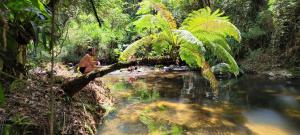 Solar Picu Eco-hospedaria