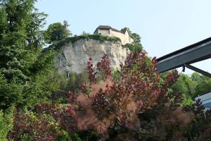 Appartements Gite de la mouche d ornans : photos des chambres