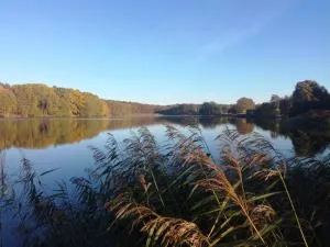 Warthe - Mitten in der Natur - Hardenbeck
