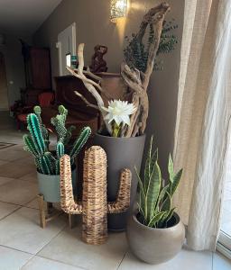 Villas LAcacia : photos des chambres