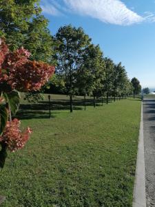 Ferienwohnung Schuhmann Therme Aquapulco Ikuna Erlebnispark Zoo Schmiding 20 min mit Auto entfernt mit Wintergarten und Garten ab 3 Nächte buchbar