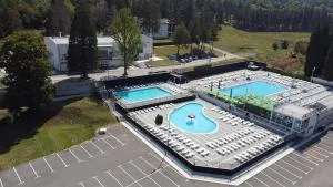 Vile Jana - Predejane