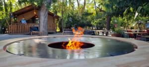 Lodges & Nature - 49