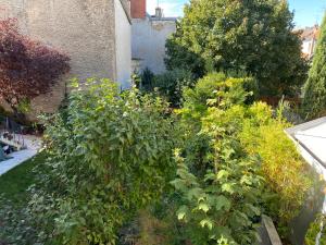 Appart Rez de jardin