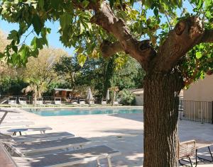 Lodges & Nature - 47