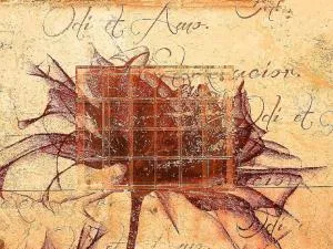 Hotel Montreal - Florence