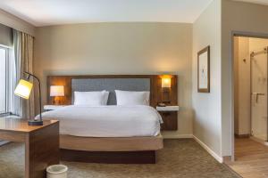 King Suite with Balcony and Sofa Bed - Non-Smoking room in Hampton Inn & Suites Boerne