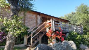 Maisons de vacances Mare E Monti Chalets : photos des chambres