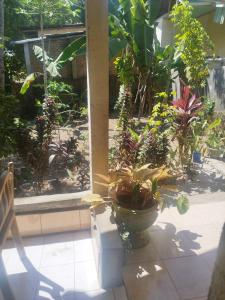 Agus Family Homestay