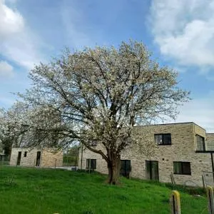 De Molenlos - 贝拉克尔