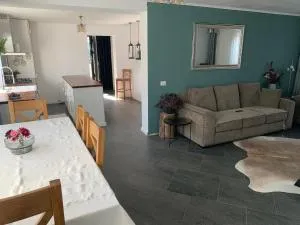 Relaxing entire house with garden - Cătămăreşti-Deal