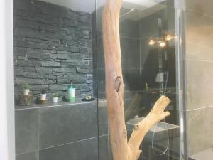 Les Vignals gîtes et événements Cévennes