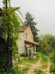 Maisons de vacances Les Vignals : photos des chambres