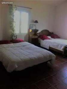 Plages de camargue et logement dans un site calme de rêve - 萨林德吉罗