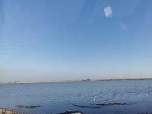 Appartements Plages de camargue et logement dans un site calme de reve : photos des chambres