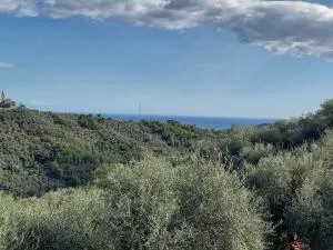 Le casasse - Moltedo Superiore