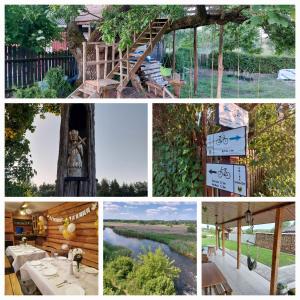 Agroturystyka Cisza Knyszyńska