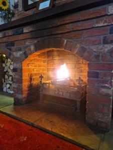 Primroses, Wood Farm