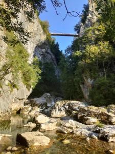 Maisons de vacances Entre Lacs et Montagnes : photos des chambres