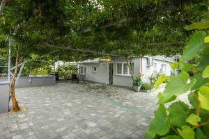 Apartment Pivas Nr 3