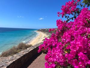 Apartamento Vista Mar ,Playas de Jandia Esquinzo