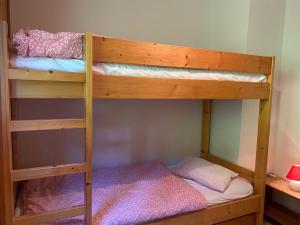 Charmant appartement près du centre, parking inclus - FR-1-693-83