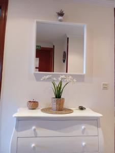 Piso céntrico VUT-5891-AS