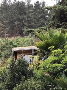 Lodge Los Bosques