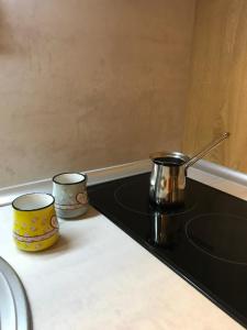 Planinski Raj - Bela Reka Gondola