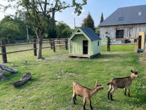 Maisons de vacances Maison a la campagne a 10 minutes d’Honfleur : photos des chambres