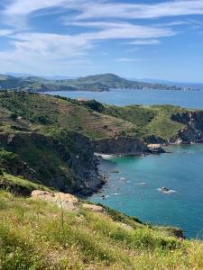 Maisons de vacances Maison Small Luxury ( planxa,suite,solarium,jacuzzi,pas de vis a vis) : photos des chambres