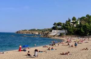 Appartements Studio 07 Argeles sur Mer . La plage a pied, L'Espagne a 30 mn : photos des chambres