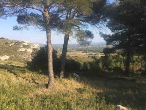 Maisons de vacances IN THE HEART OF PROVENCAL WINERY WITH PRIVATE POOL : photos des chambres