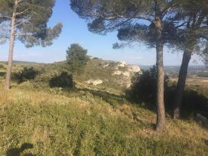 Maisons de vacances IN THE HEART OF PROVENCAL WINERY WITH PRIVATE POOL : photos des chambres