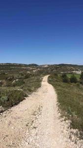 Maisons de vacances IN THE HEART OF PROVENCAL WINERY WITH PRIVATE POOL : Maison 1 Chambre