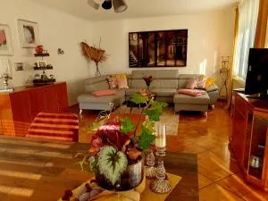 2 Zimmer Domizil am Südhang mit Terrasse und Pool - Dauernheim