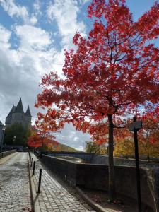 Q-time Barvaux, Durbuy-Adults Only