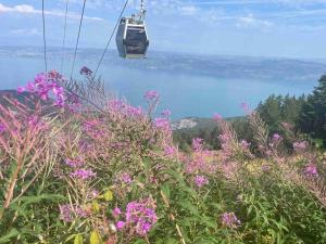 Appartements Studio Myrtilles du Leman vue sur lac et montagne : photos des chambres