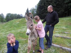 Hotels Auberge du Saut des Cuves : photos des chambres